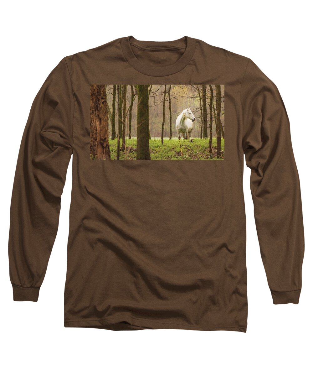 Missouri Wild Horses Long Sleeve T-Shirt featuring the photograph Stepping into the Wild by Holly Ross
