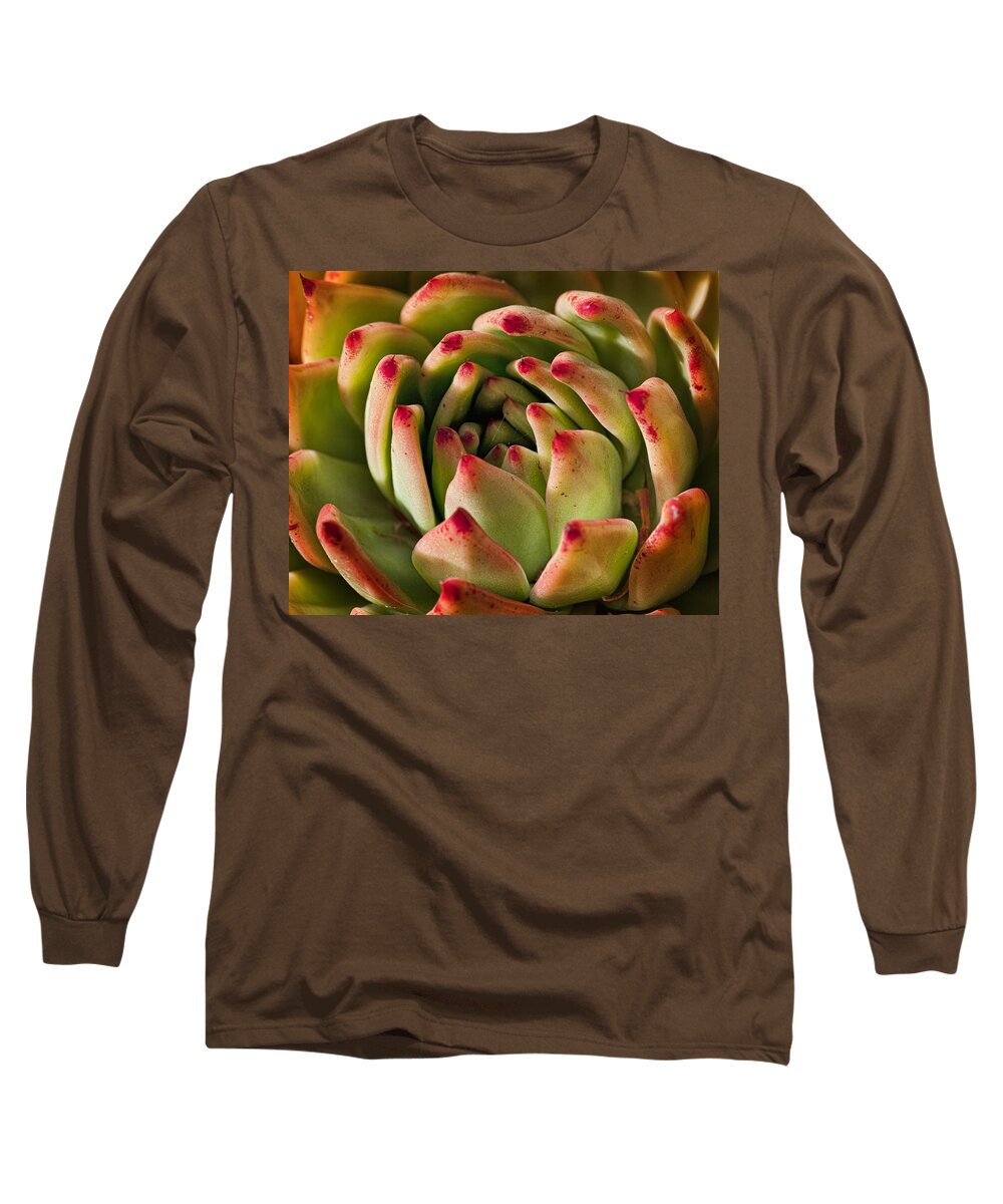 Succulent Long Sleeve T-Shirt featuring the photograph Succulent Petals by Kelley King