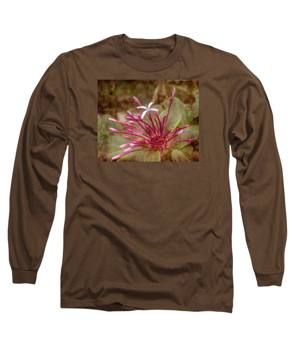 Pink Long Sleeve T-Shirt featuring the photograph Surprise by Arlene Carmel