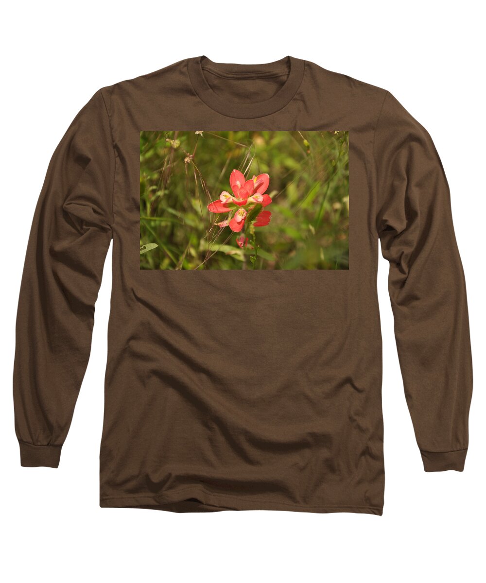 Texas Hill Country Long Sleeve T-Shirt featuring the photograph Texas Paintbrush by Frank Madia