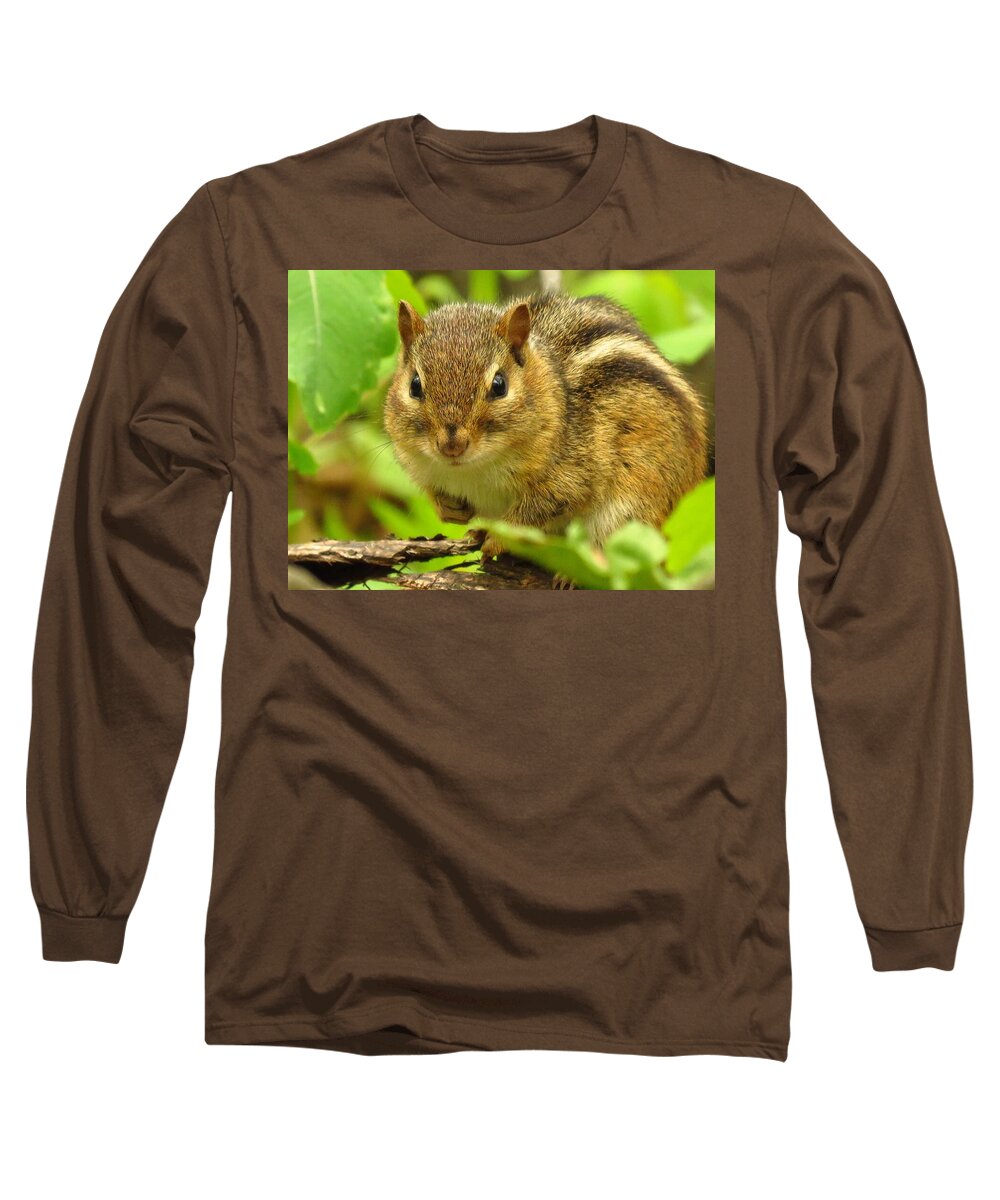 Chipmunk Long Sleeve T-Shirt featuring the photograph The Chipster by Lori Frisch