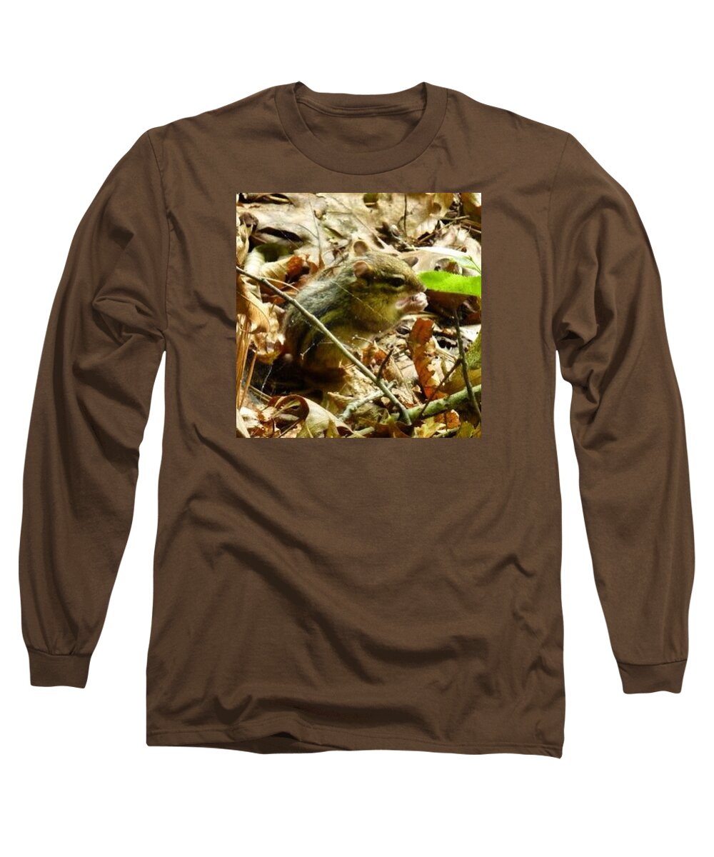 Cute Long Sleeve T-Shirt featuring the photograph Chipmunk in the leaves by Charlotte Cooper