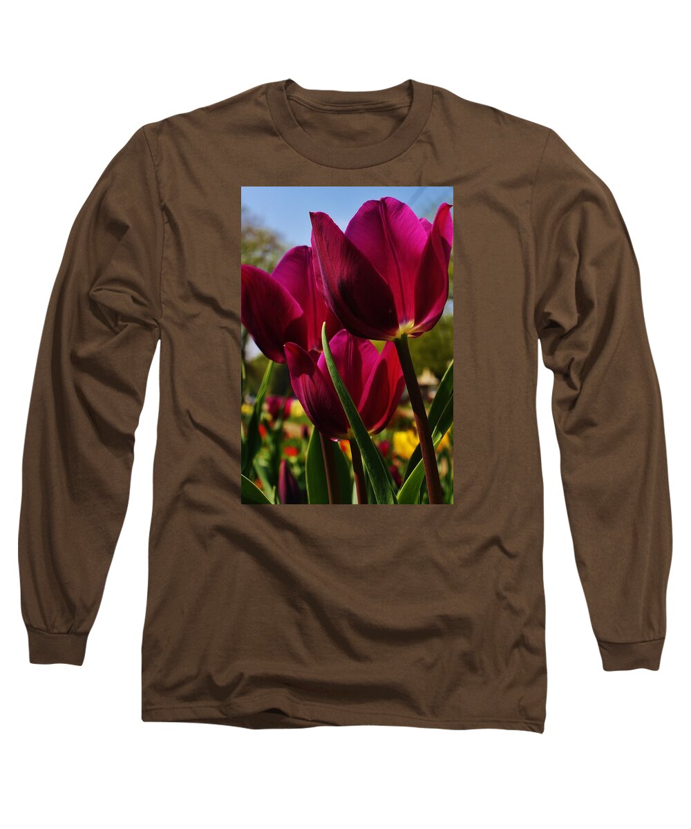 Flora Long Sleeve T-Shirt featuring the photograph Tip Toe through the Tulips by Bruce Bley