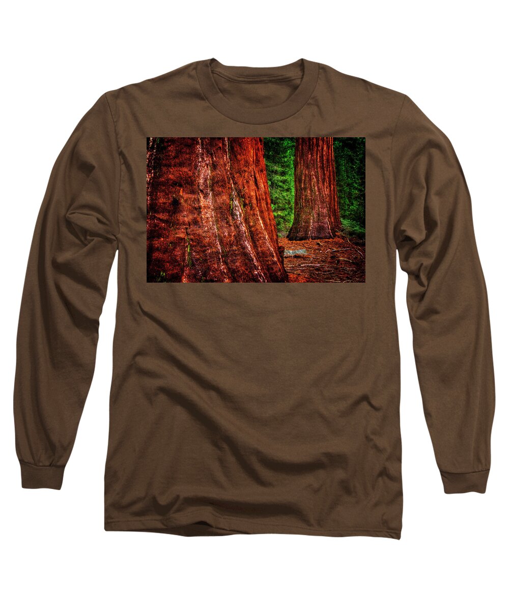 California Long Sleeve T-Shirt featuring the photograph Two Sequoias at Grants Grove by Roger Passman
