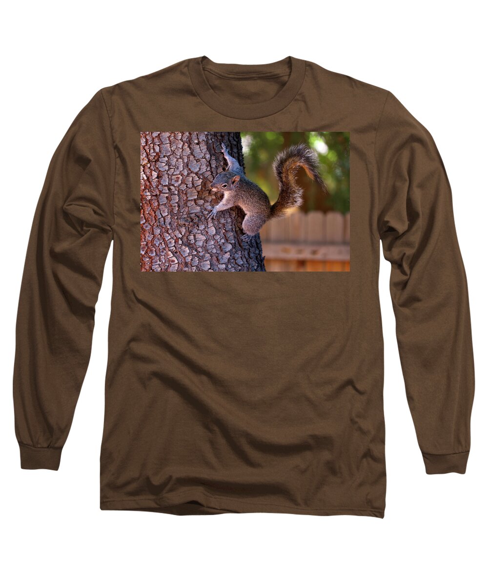 Photography Long Sleeve T-Shirt featuring the digital art Up a Tree by Terry Davis