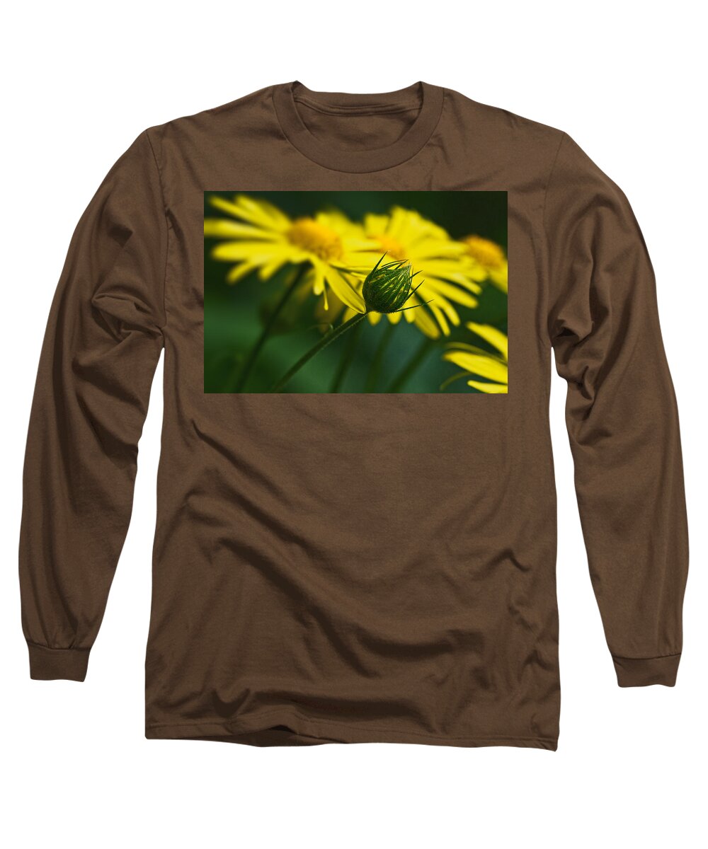 Europe Long Sleeve T-Shirt featuring the photograph Yellow daisy bud by Roberto Pagani