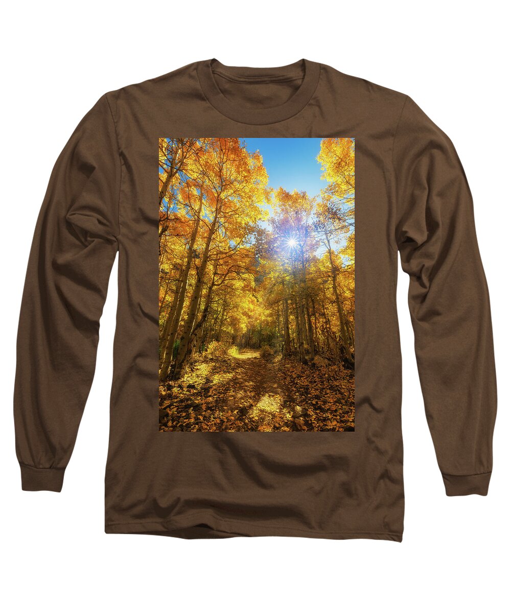 Trees Long Sleeve T-Shirt featuring the photograph Aspen Lane by Tassanee Angiolillo