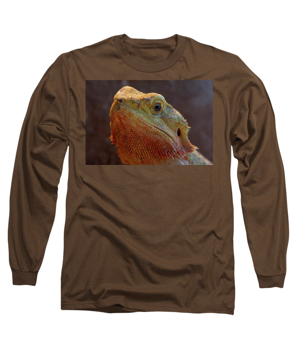 Bearded Dragon Long Sleeve T-Shirt featuring the photograph Bearded Dragon 1 by Steev Stamford