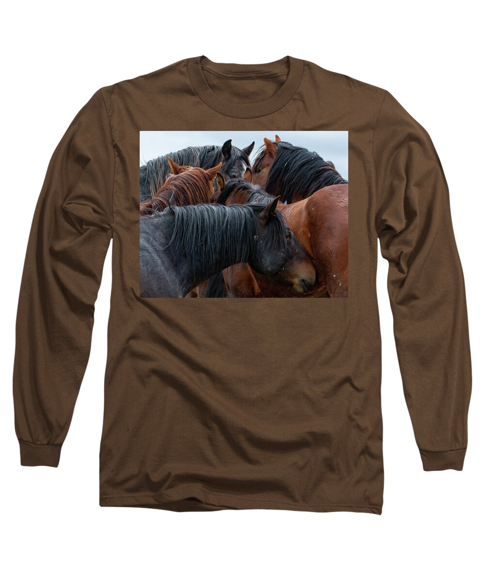 Wild Horses Long Sleeve T-Shirt featuring the photograph Buddies by Mary Hone