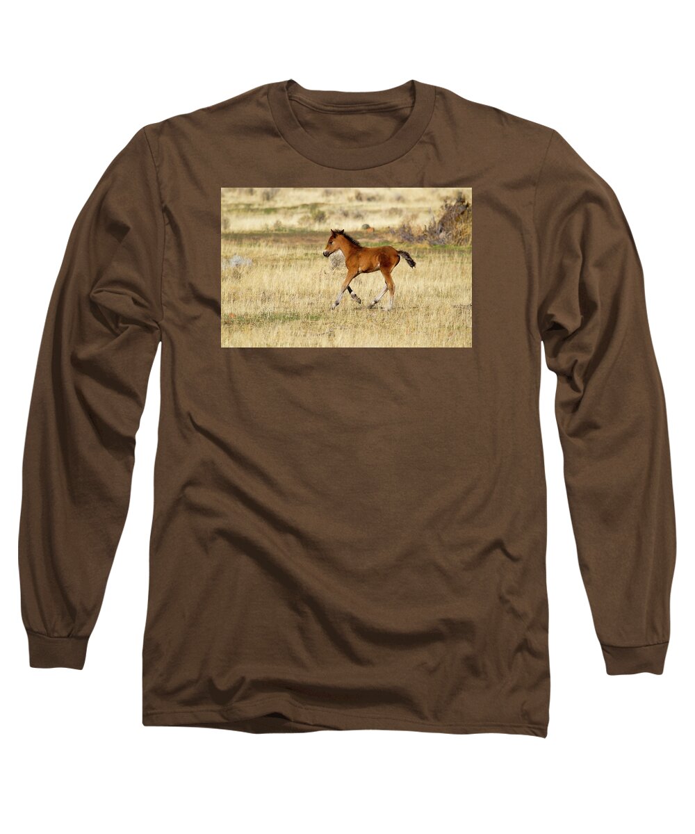 Horse Long Sleeve T-Shirt featuring the photograph Cute wild Bay foal galloping across a field by Waterdancer