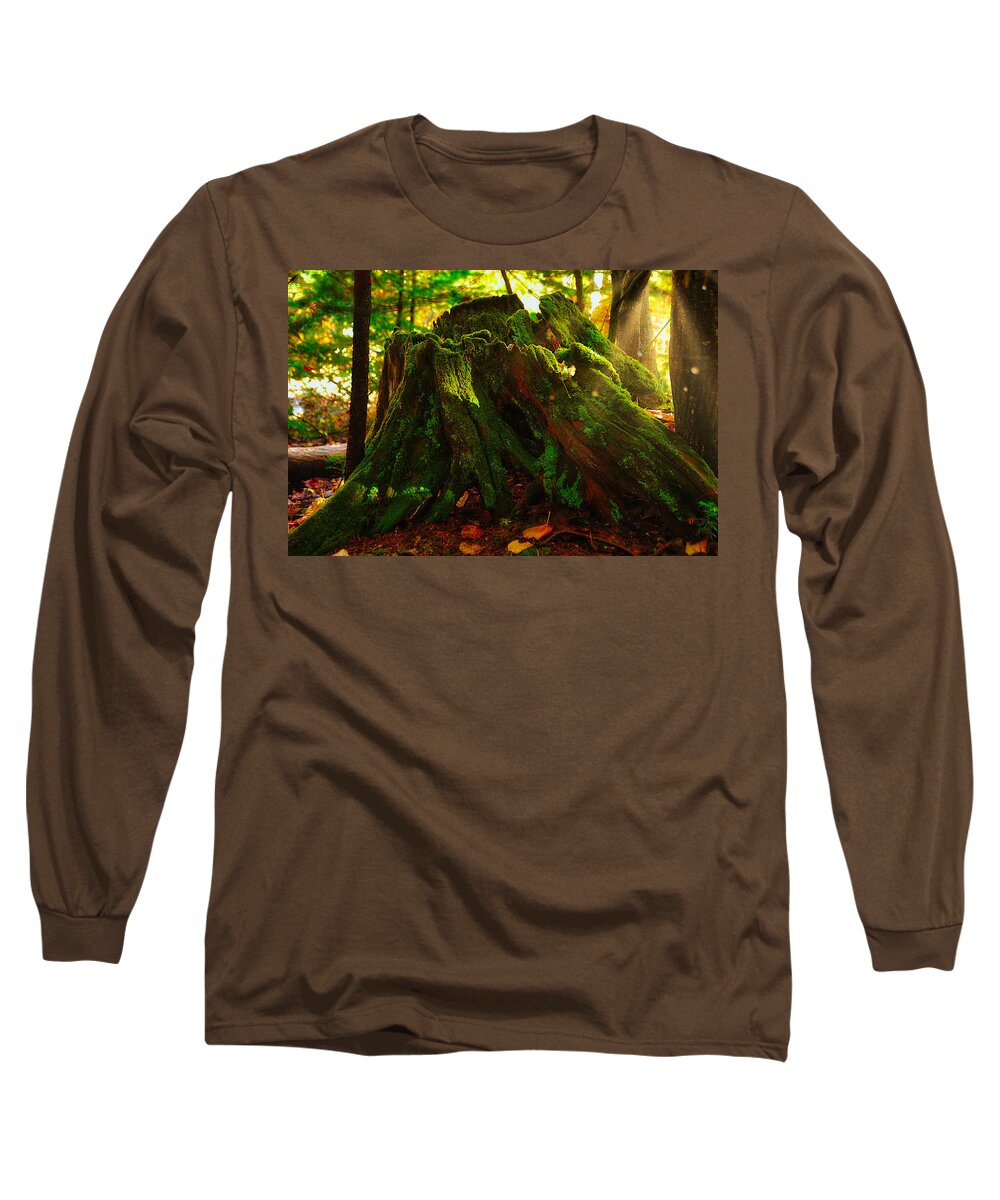 Photograph Long Sleeve T-Shirt featuring the photograph Life from Death by Richard Gehlbach