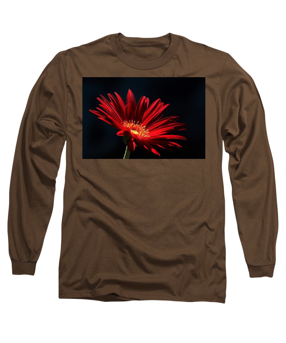 Nature Long Sleeve T-Shirt featuring the photograph Red Gerber Daisy in Spotlight by Sheila Brown