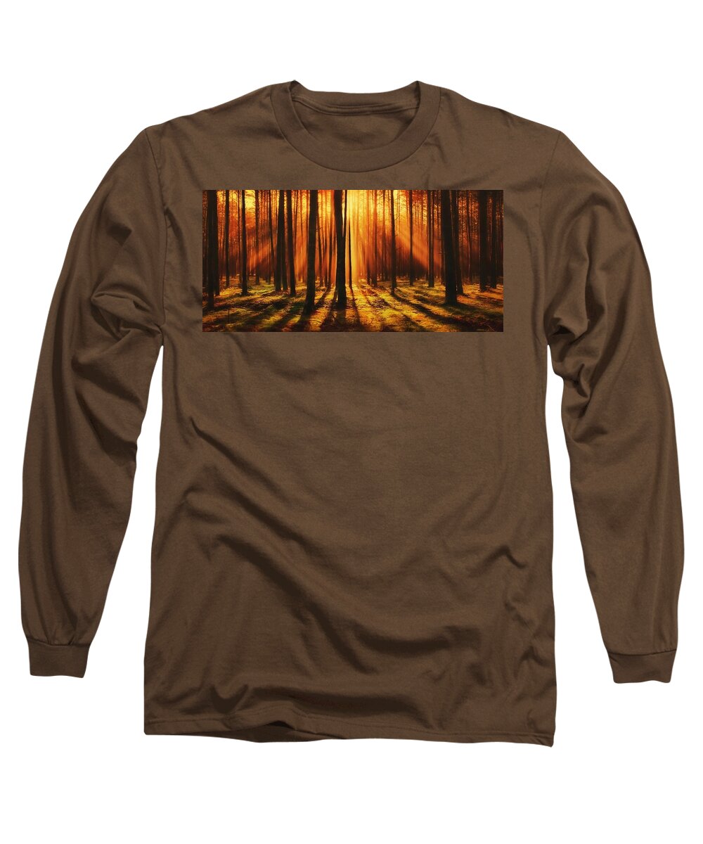 Forest Long Sleeve T-Shirt featuring the photograph Sunlight Forest by Teresa Trotter