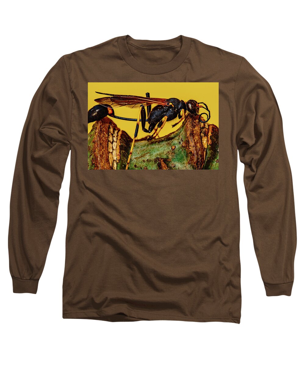 Hawaii Long Sleeve T-Shirt featuring the photograph Wasp just had Enough by John Bauer