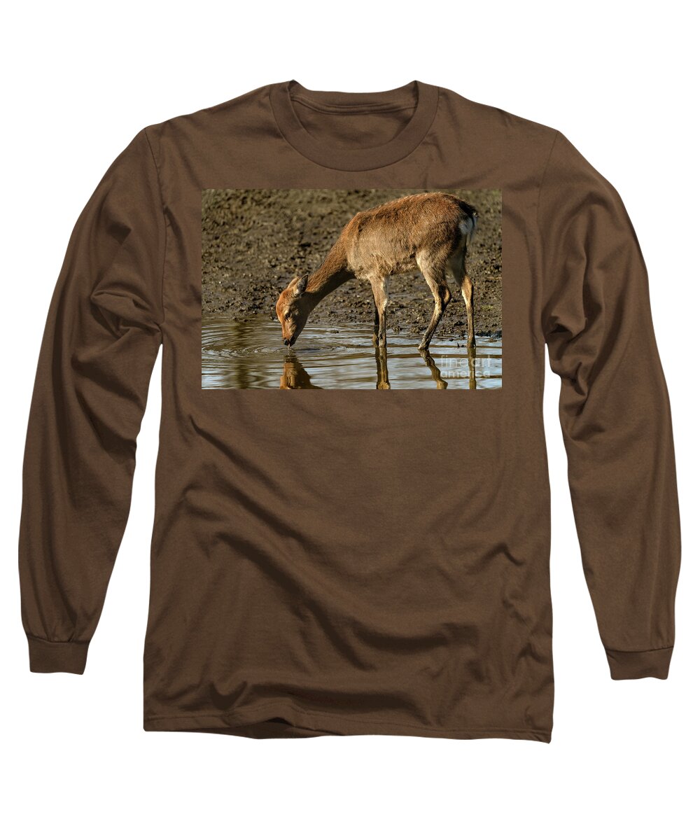 Deer Long Sleeve T-Shirt featuring the photograph Water is life by Sam Rino