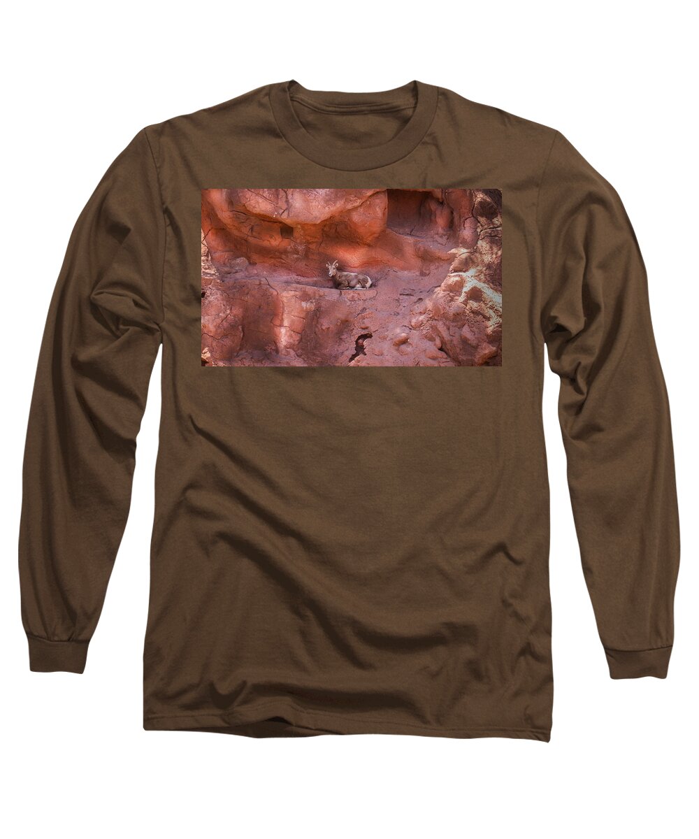 Mountain Goat Long Sleeve T-Shirt featuring the photograph A Peaceful Overlook by Laura Putman