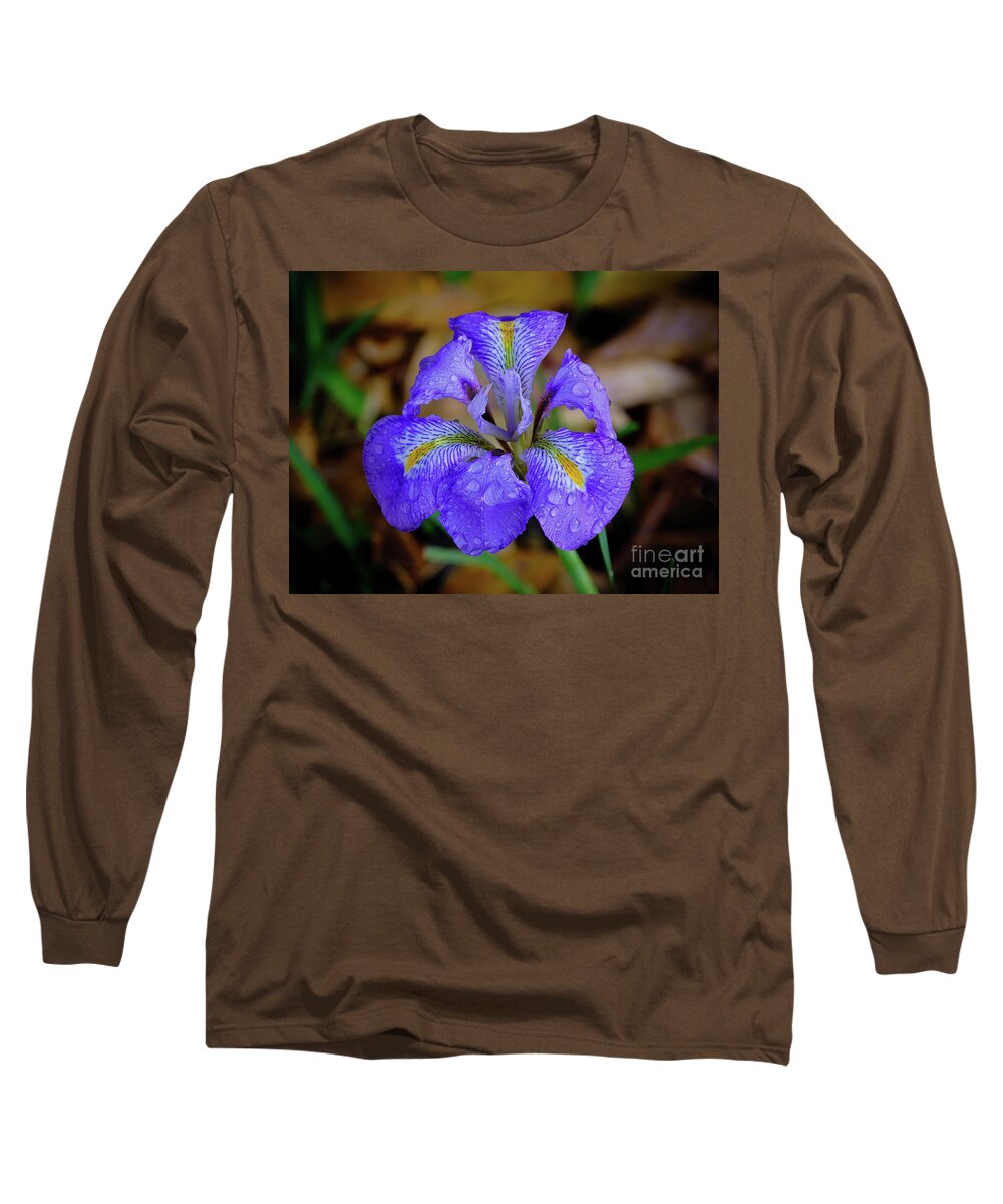 Iris Unguicularis Long Sleeve T-Shirt featuring the photograph An Irish Iris by Neil Maclachlan