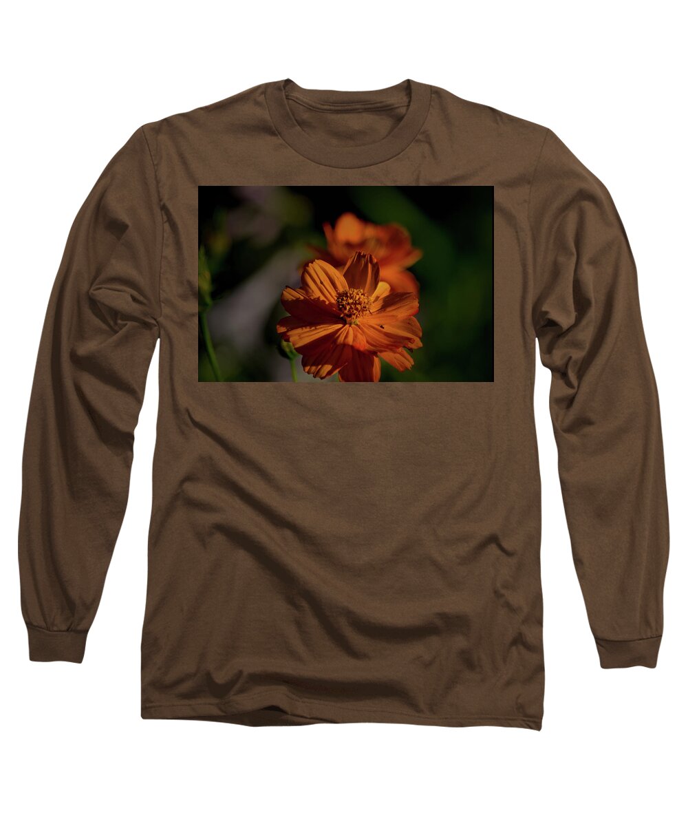 Plant Long Sleeve T-Shirt featuring the photograph An Orange Moment by Buddy Scott