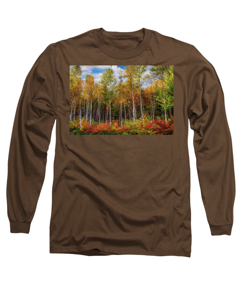 Maine Birch Trees Long Sleeve T-Shirt featuring the photograph Birch trees turn to gold by Jeff Folger