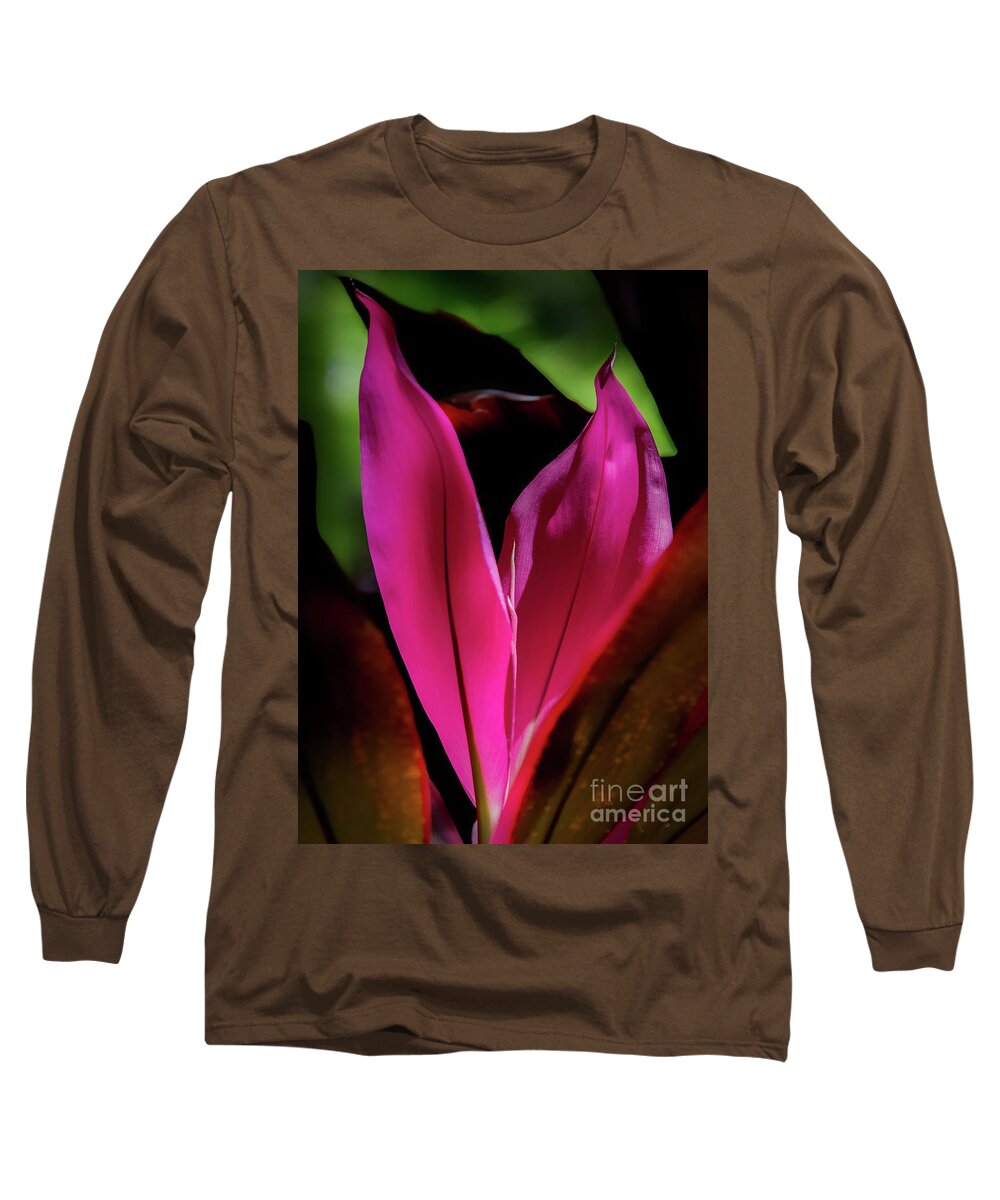 Ti Plant Long Sleeve T-Shirt featuring the photograph New Leaves by Neala McCarten