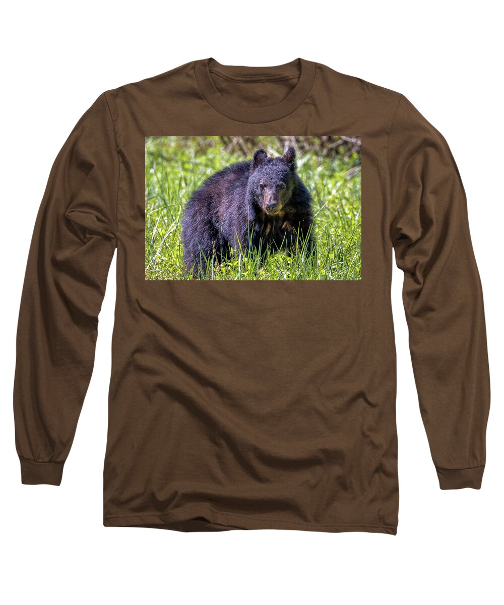 Black Bear Long Sleeve T-Shirt featuring the photograph Black Bear in Cades Cove - Great Smoky Mountains National Park by Peter Ciro