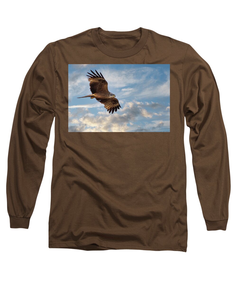 Accipitridae Long Sleeve T-Shirt featuring the photograph Black kite - Milvus migrans by Jivko Nakev