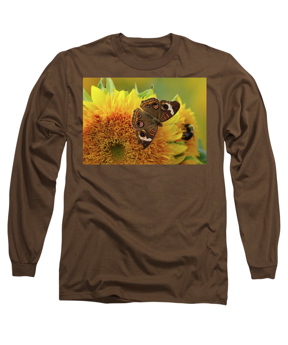Butterfly Long Sleeve T-Shirt featuring the photograph Broken Wing by Grant Twiss