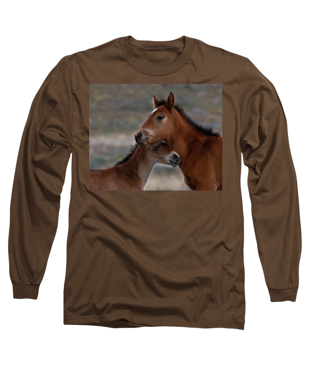 Wild Horses Long Sleeve T-Shirt featuring the photograph Brothers by Mary Hone