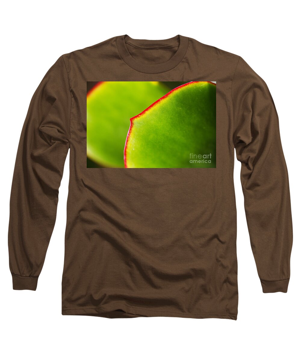 Cactus Leaves Long Sleeve T-Shirt featuring the photograph Cactus Leaves by Joy Watson