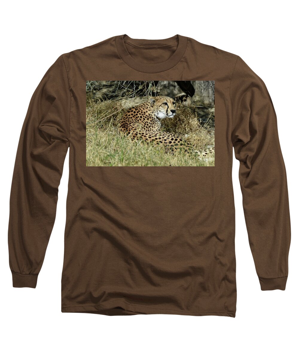 Cheetah Long Sleeve T-Shirt featuring the photograph Cheetah in Living Desert Zoo, Palm Desert, California by Bonnie Colgan