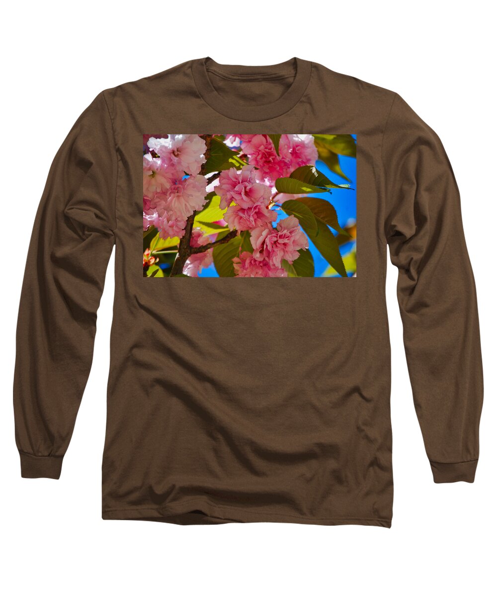 Nature Long Sleeve T-Shirt featuring the photograph Cherry Blossom Time by Judy Cuddehe