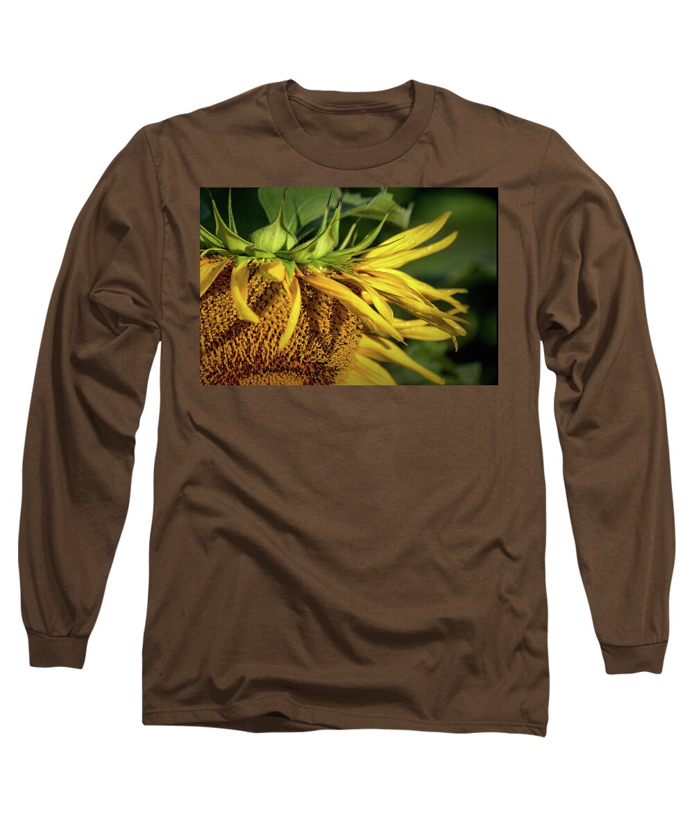 Plants Long Sleeve T-Shirt featuring the photograph Curly Top by Buddy Scott