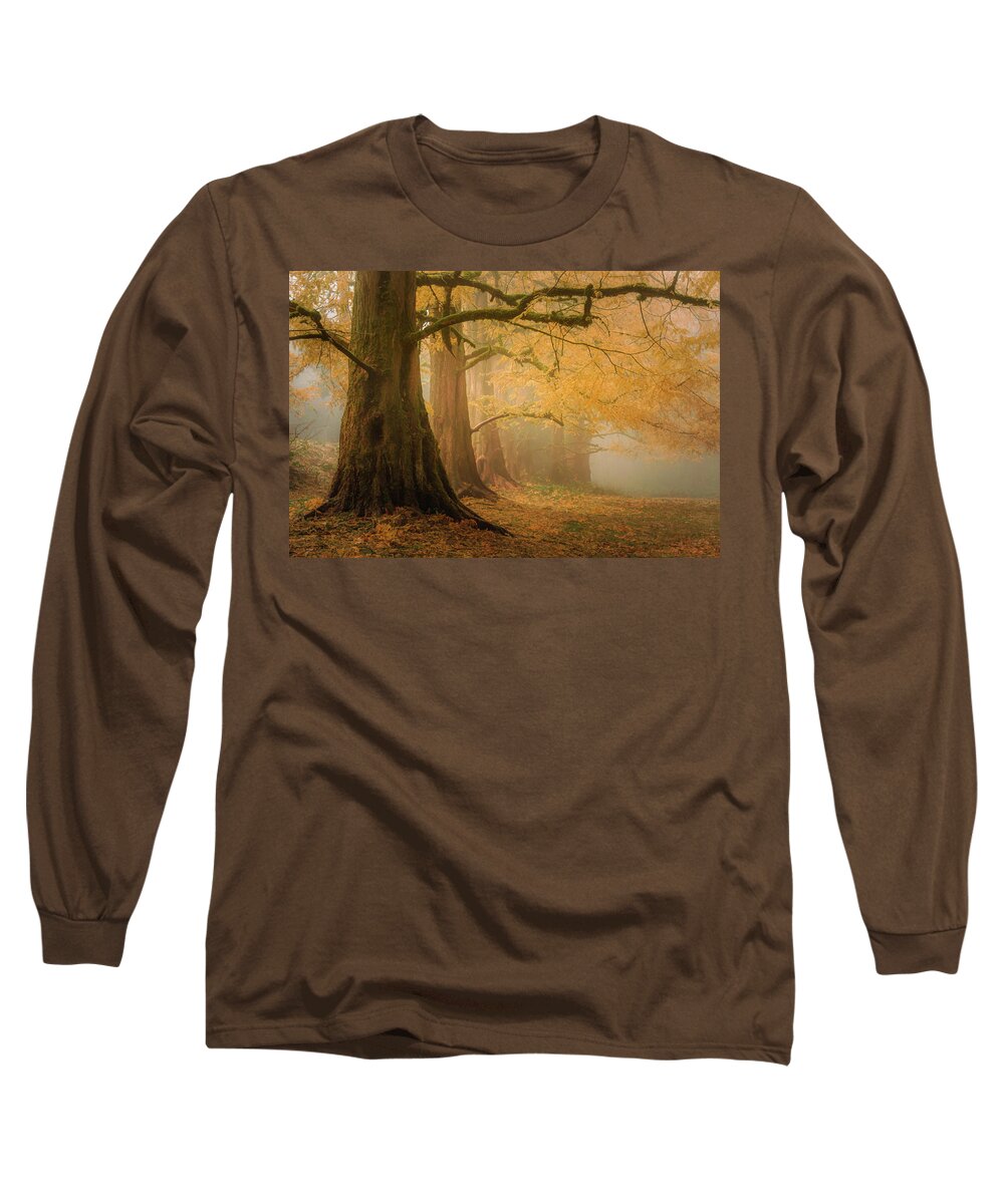 Forest Park Long Sleeve T-Shirt featuring the photograph Dawn Redwoods in the Mist by Don Schwartz