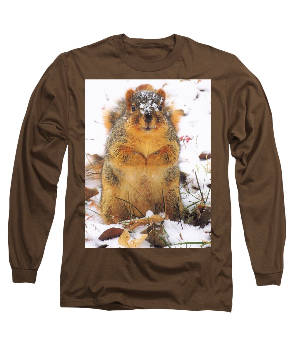 Squirrels Long Sleeve T-Shirt featuring the photograph December Squirrel by Lori Frisch