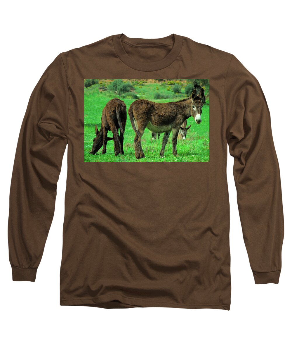 Cute Donkey Long Sleeve T-Shirt featuring the photograph Donkeys on Lush Green Farm Field by Angelo DeVal