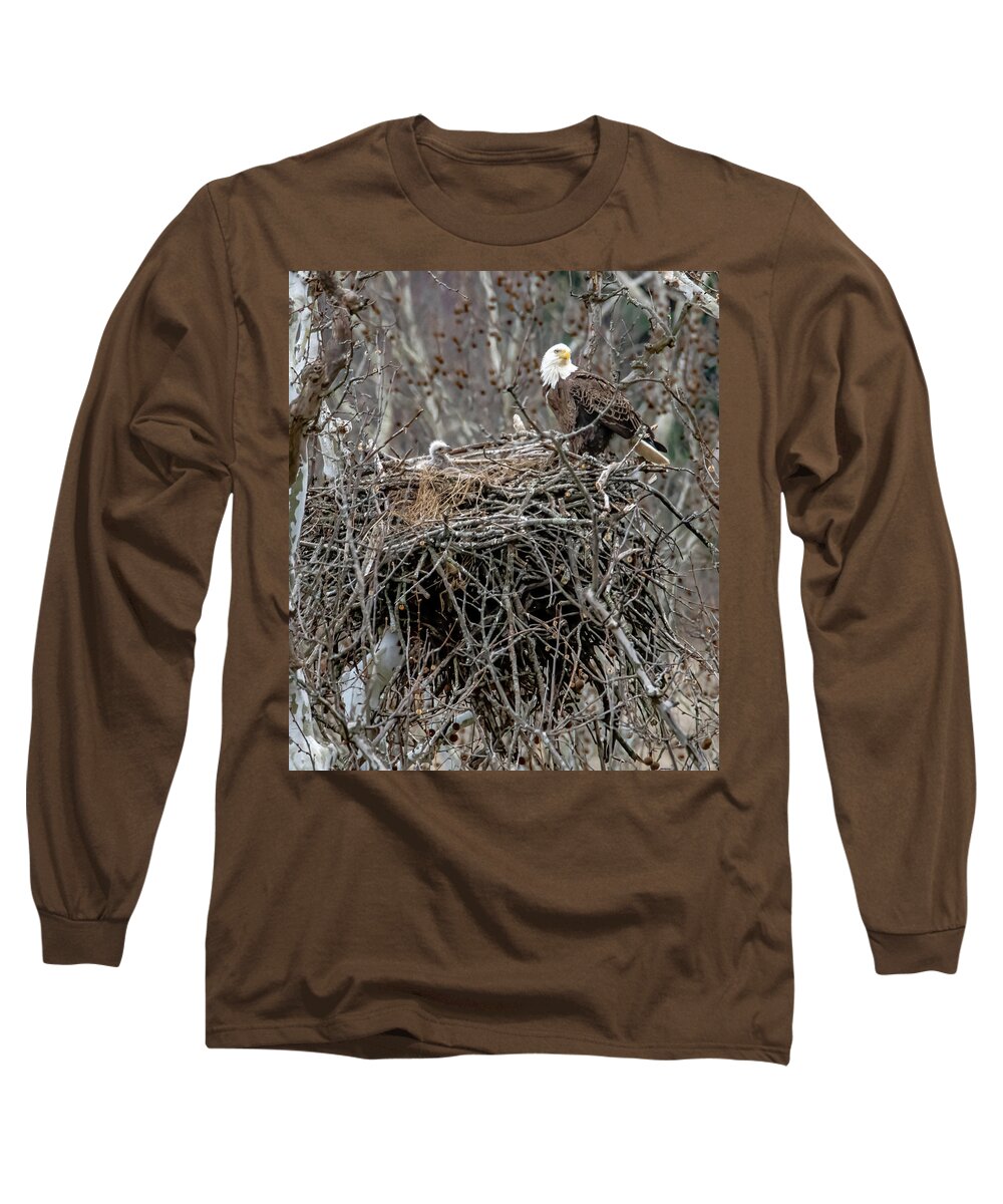 Eaglet Long Sleeve T-Shirt featuring the photograph Eaglet Before by Brian Shoemaker