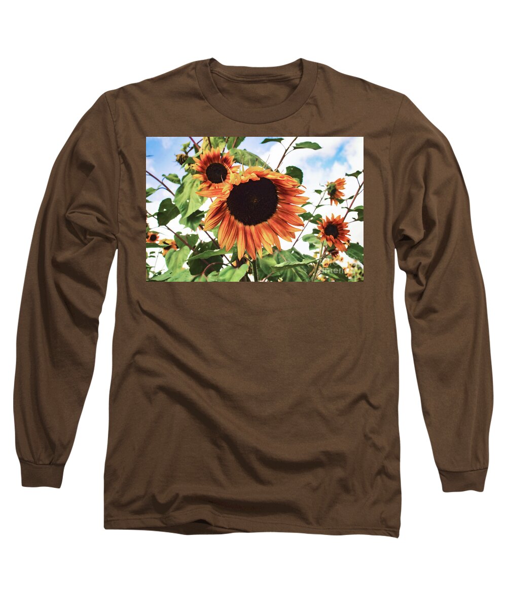 Nature Long Sleeve T-Shirt featuring the photograph Family of Sunshine by Janie Johnson