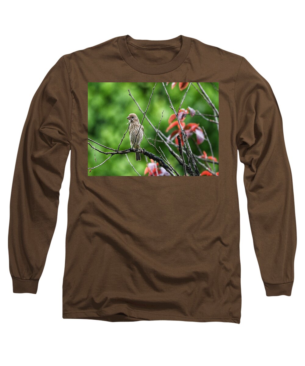 House Finch Long Sleeve T-Shirt featuring the photograph Female House Finch by Evan Foster