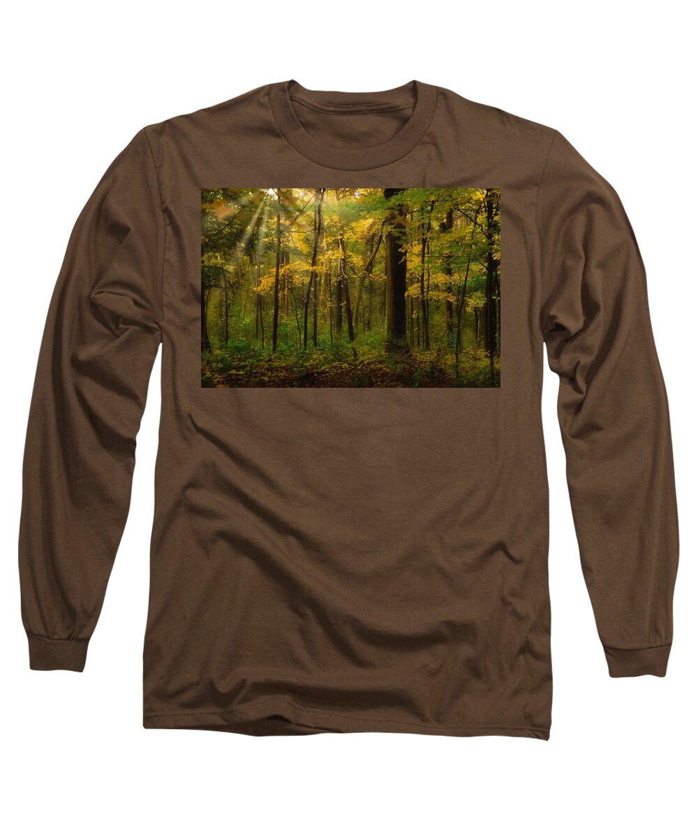 Fall Colors Long Sleeve T-Shirt featuring the photograph Forest glow by Jim Signorelli