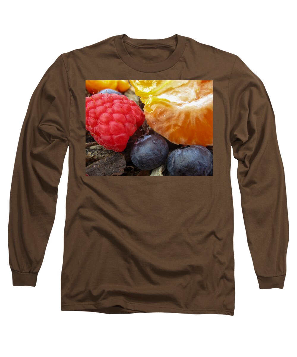 Blueberries Long Sleeve T-Shirt featuring the photograph Fruit, Still Life by W Craig Photography