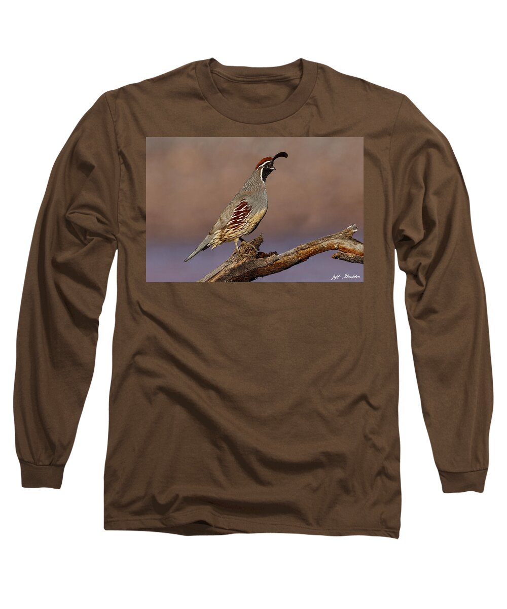 Animal Long Sleeve T-Shirt featuring the photograph Gambel's Quail Perched on a Branch by Jeff Goulden