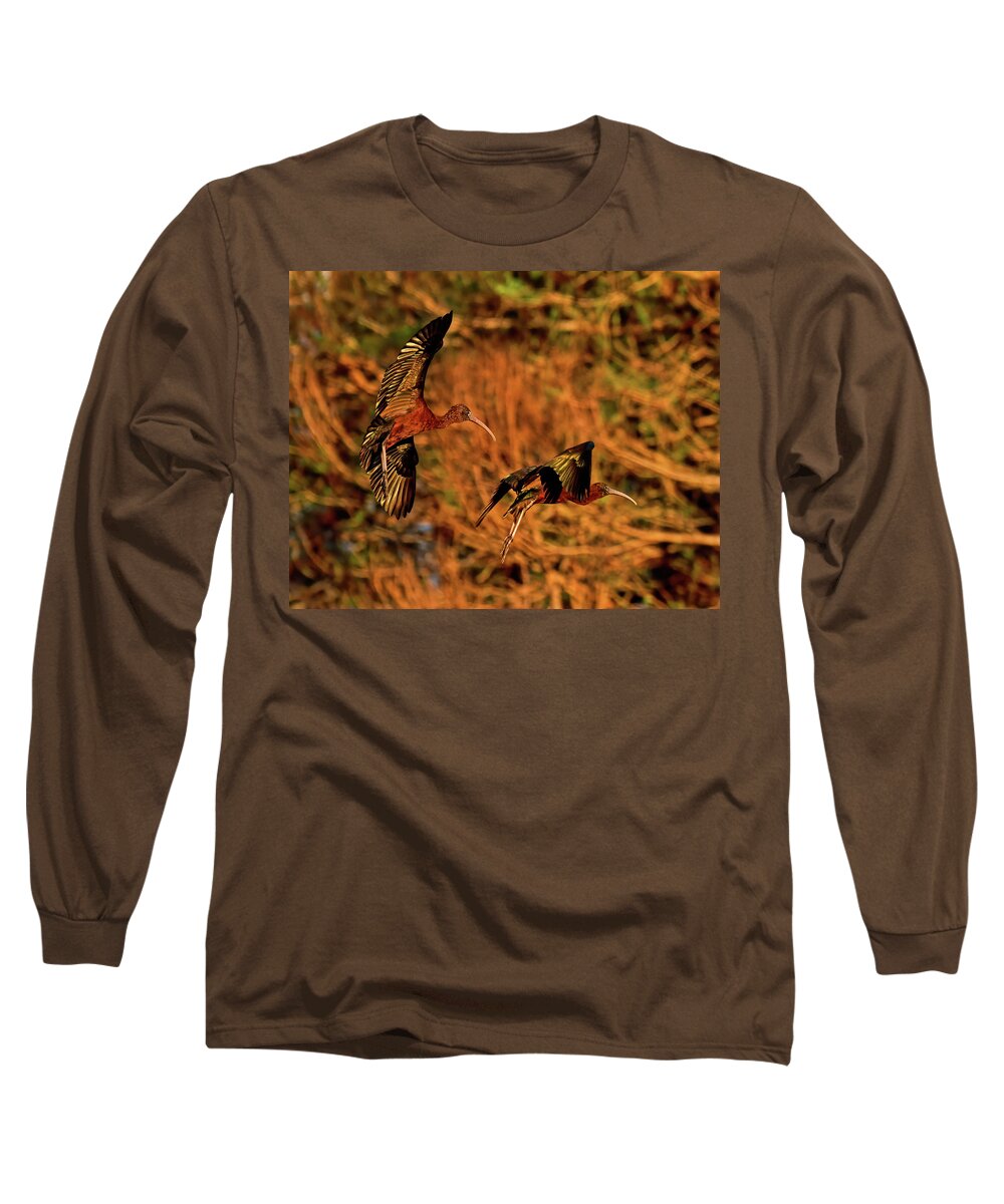 Avian Long Sleeve T-Shirt featuring the photograph Glossy Ibis by Stuart Harrison