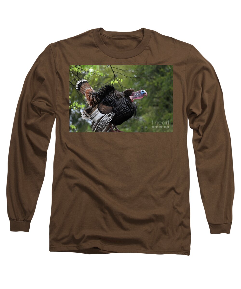 Turkey Long Sleeve T-Shirt featuring the photograph Gobblin For Love by Skip Willits