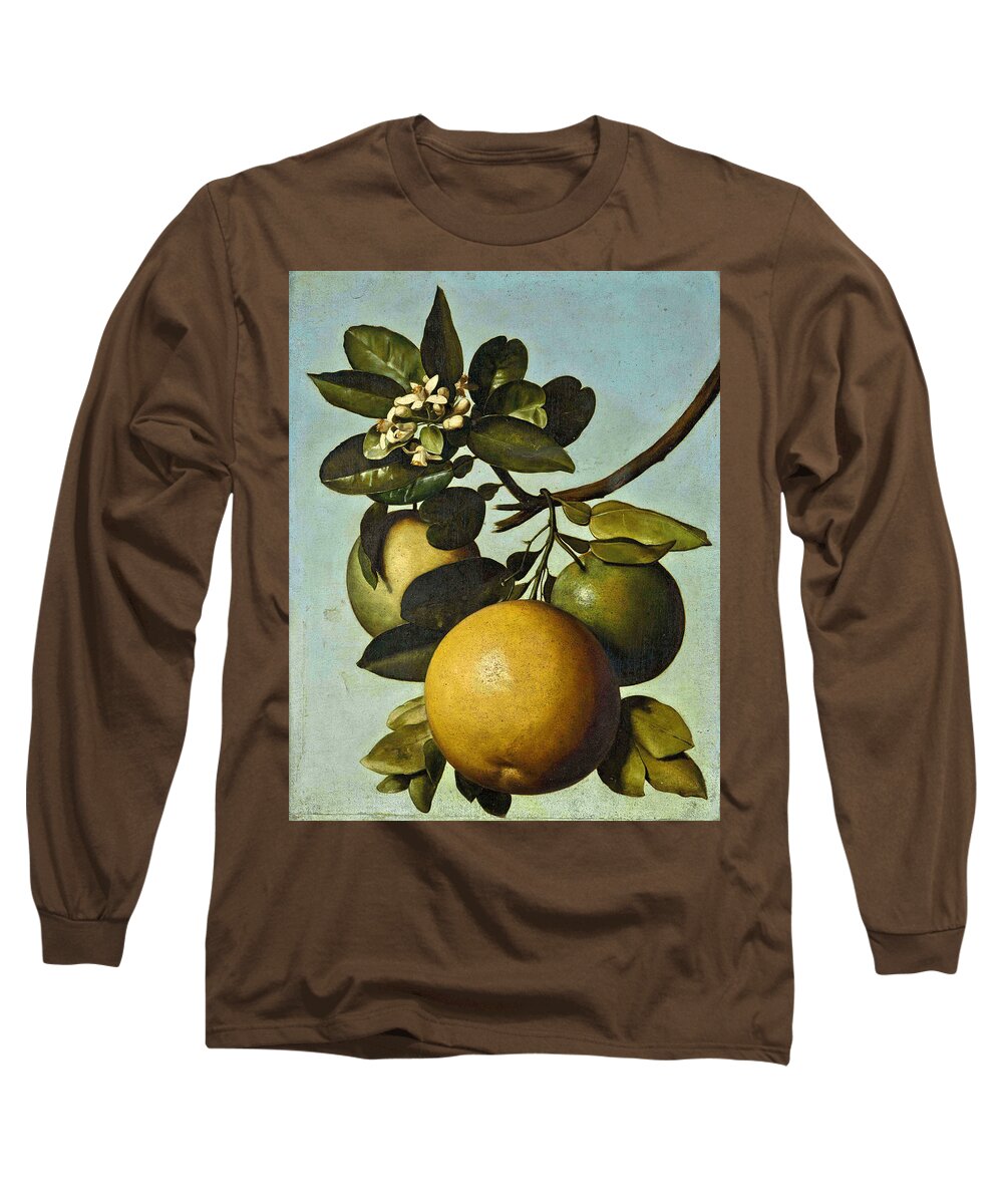 Michel Garnier Long Sleeve T-Shirt featuring the painting Grapefruit study by Michel Garnier