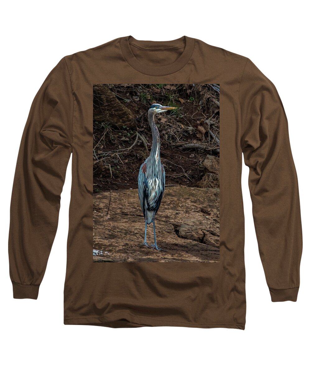 Animals Long Sleeve T-Shirt featuring the photograph Great Blue Heron by Brian Shoemaker