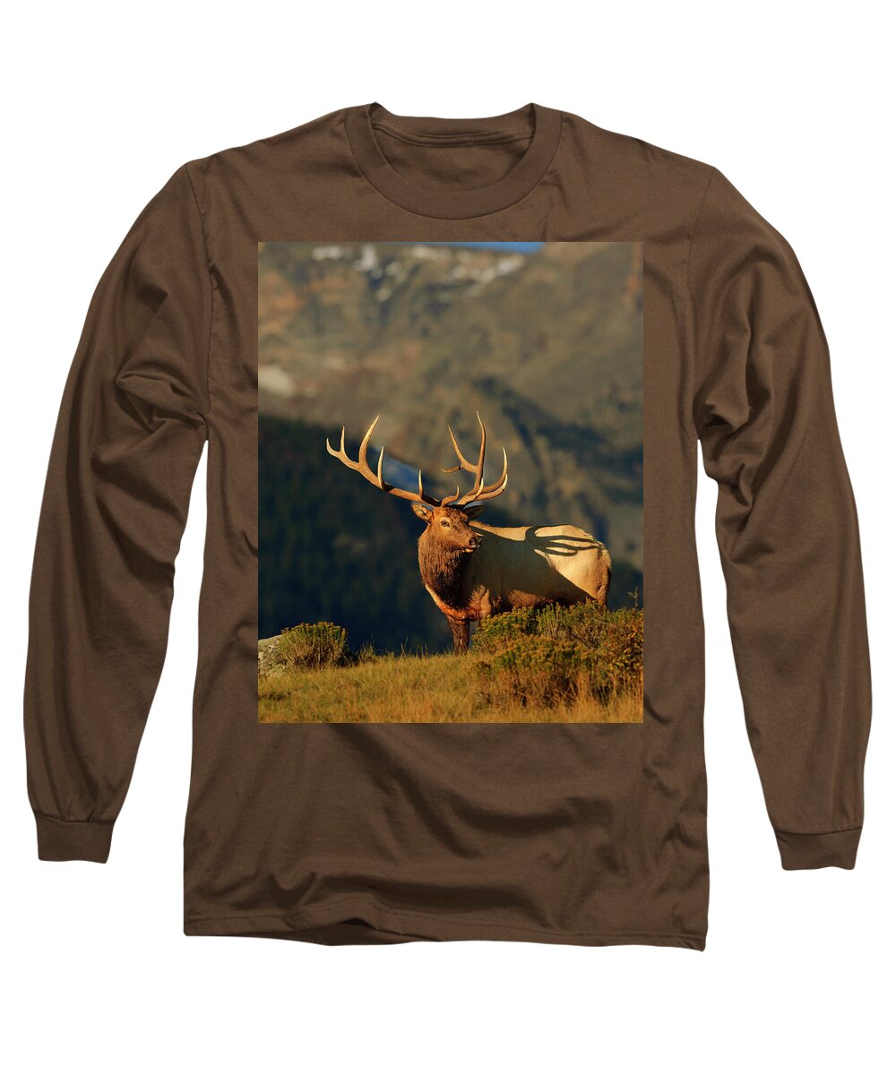Bull Long Sleeve T-Shirt featuring the photograph High Country Bull Elk by Gary Langley