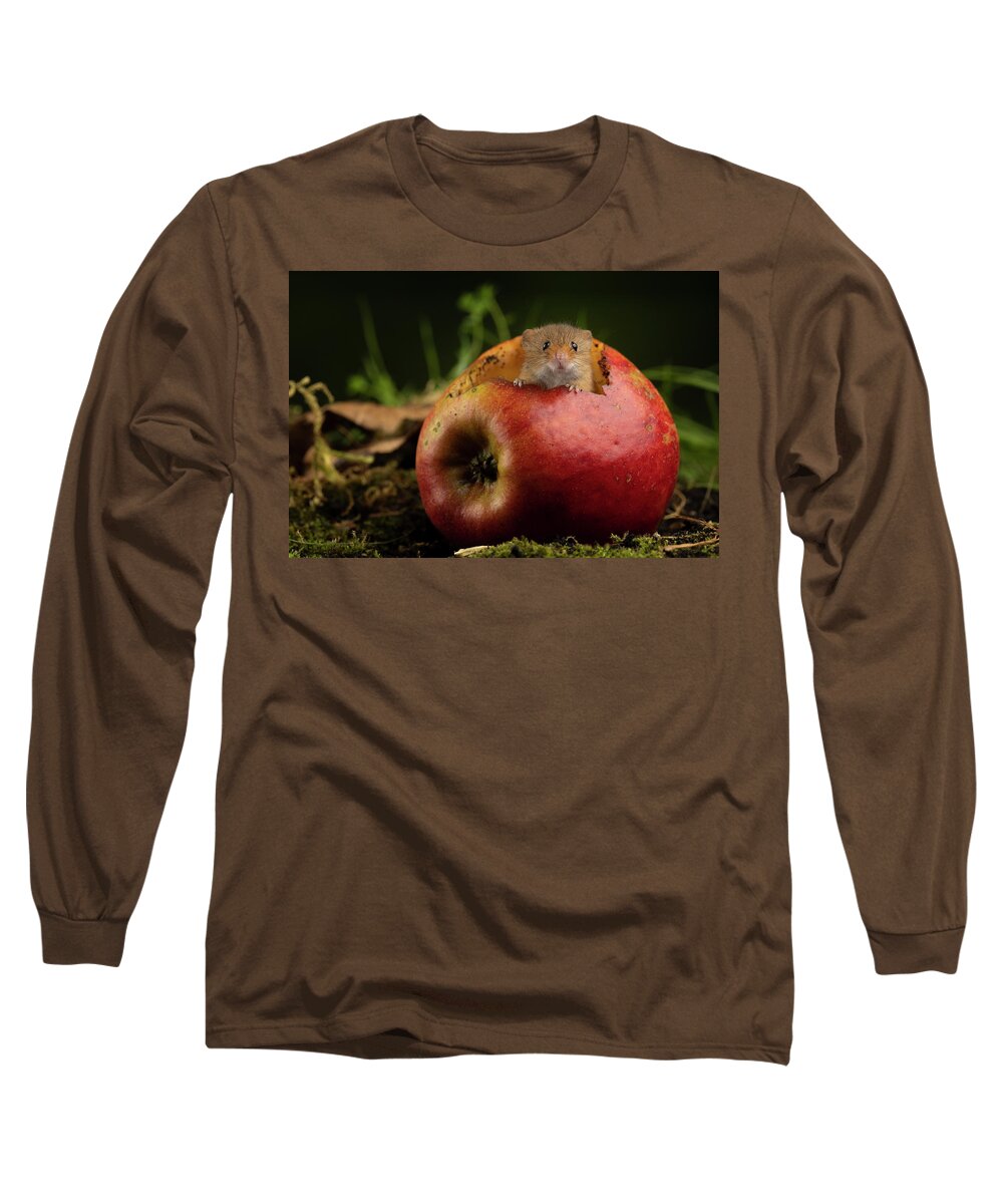 Harvest Long Sleeve T-Shirt featuring the photograph Hm_2355 by Miles Herbert