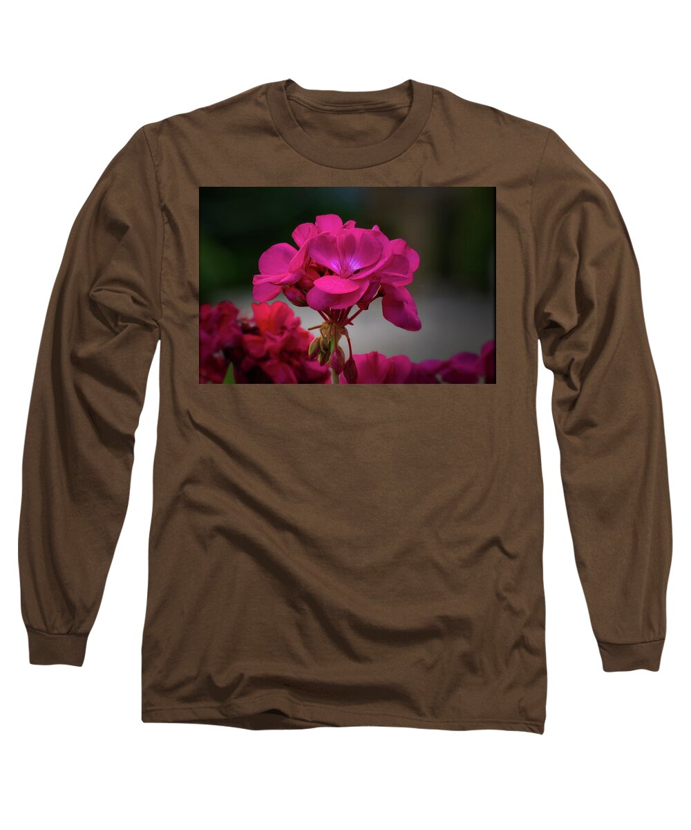 Plant Long Sleeve T-Shirt featuring the photograph Hottie Pink by Buddy Scott