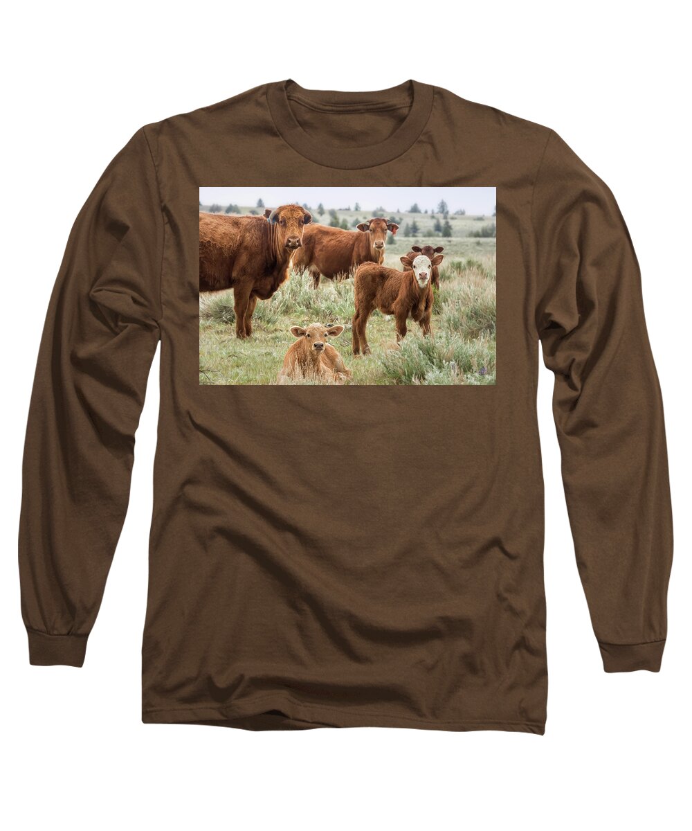 Cow Long Sleeve T-Shirt featuring the photograph J'Accuse by Belinda Greb
