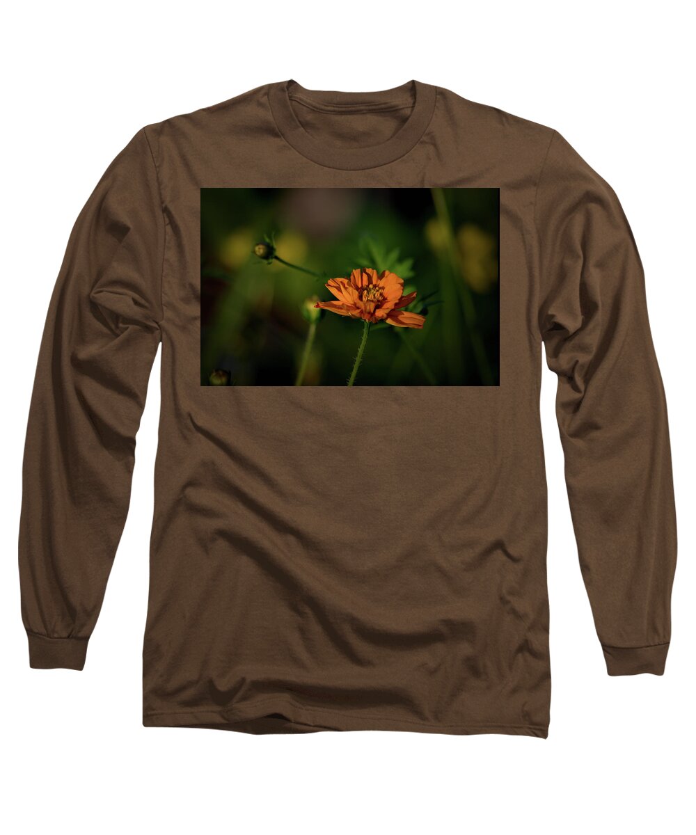 Plants Long Sleeve T-Shirt featuring the photograph Just a touch by Buddy Scott